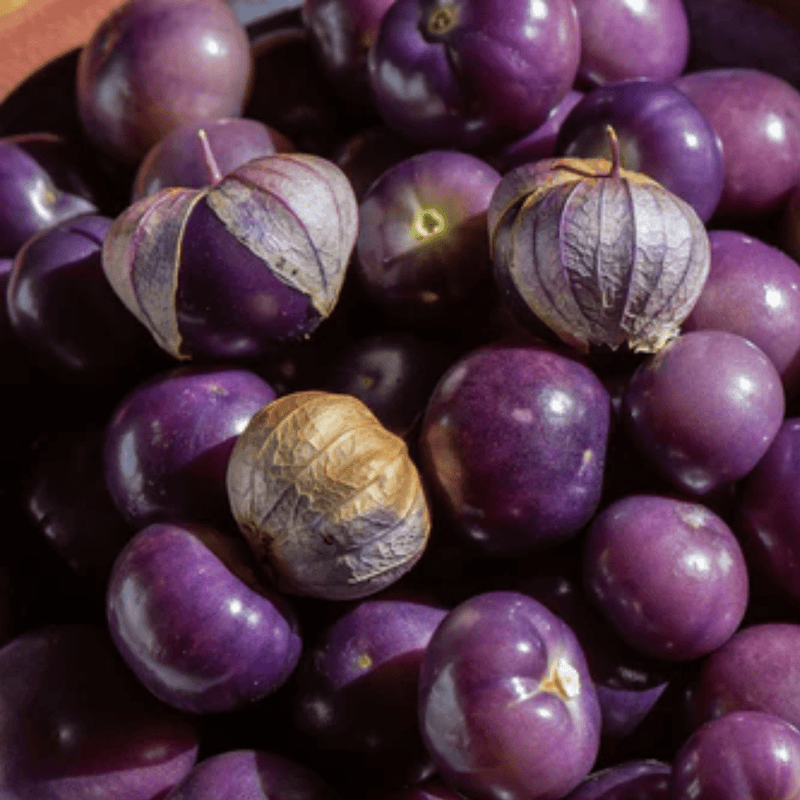 Purplekeepers Tomatillo Seeds Approx. 75 seeds - Indoor Farmer