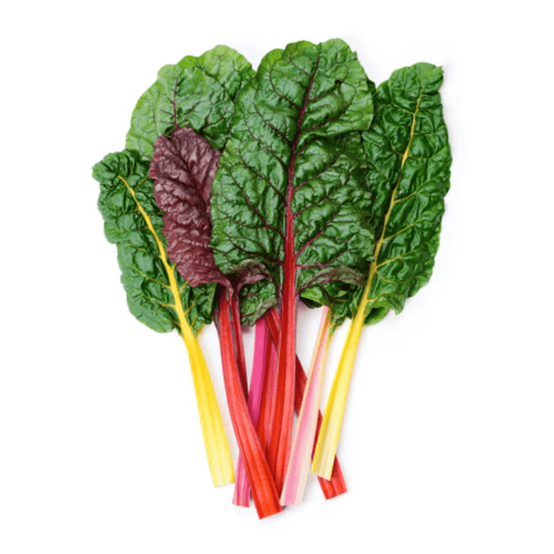 Rainbow Swiss Chard Seeds Approx. 60 seeds - Indoor Farmer