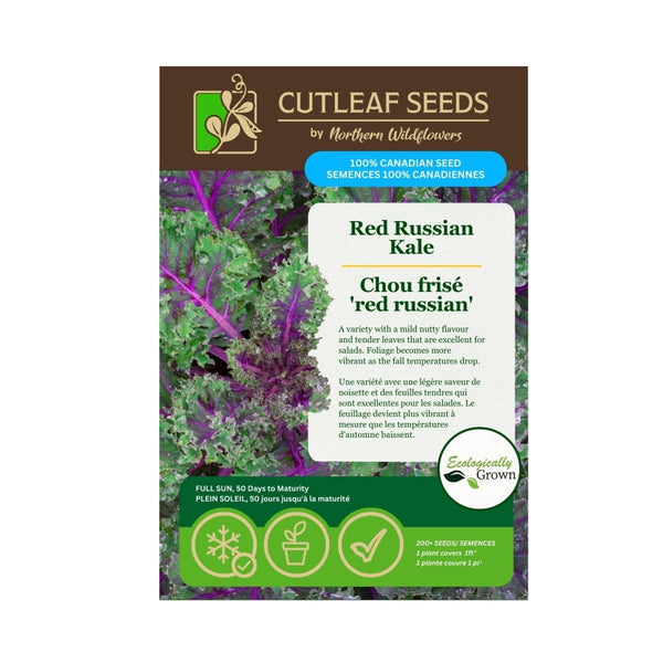 Red Russian Kale Seeds Approx. 200 seeds - Indoor Farmer