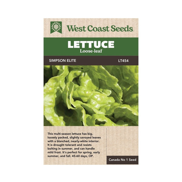 Simpson Elite Lettuce Seeds 0.75g (Approx. 705 seeds) - Indoor Farmer