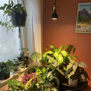 Solatech Vita Grow Light & Pendant Bundle Black - Indoor Farmer