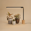 Soltech Versa Tabletop Grow Light Black/Natural Wood Base - Indoor Farmer