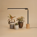 Soltech Versa Tabletop Grow Light Black/Natural Wood Base - Indoor Farmer