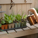 Sproutbox Seed Starting Kit - Multicolour - Indoor Farmer