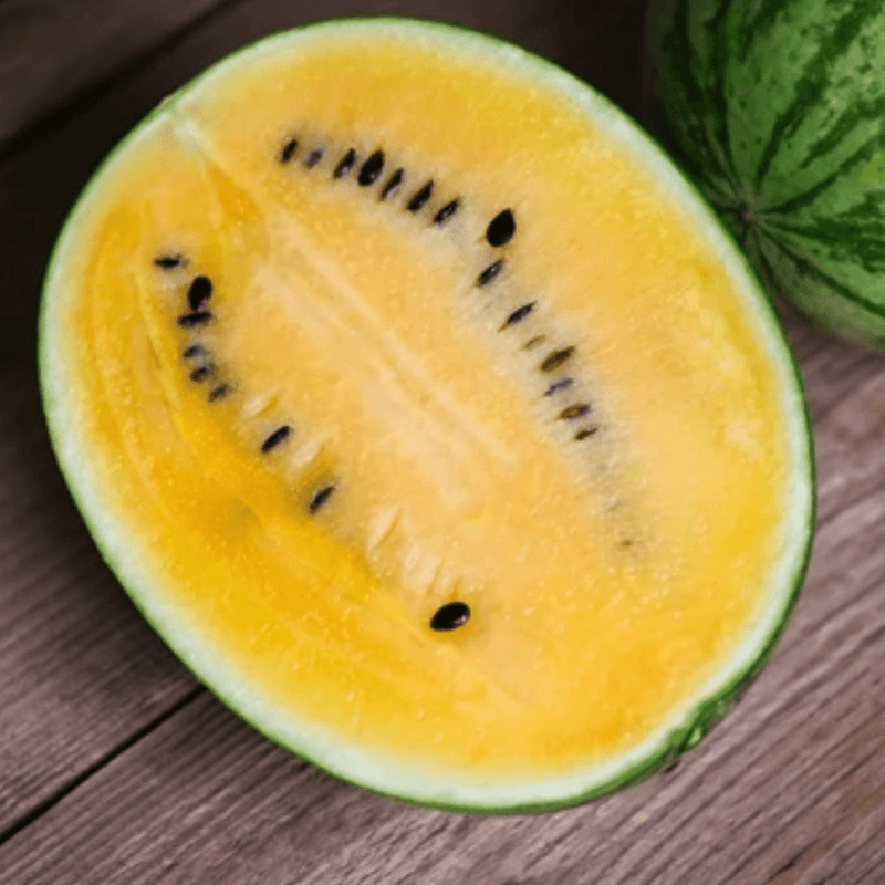 Sweet Siberian Watermelon Seeds Approx. 20 seeds - Indoor Farmer