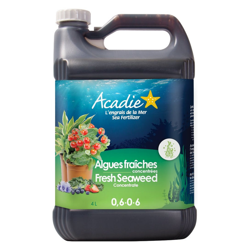 Acadie Fresh Seaweed Fertilizer Concentrate (0.6 - 0 - 6) 4 L - Indoor Farmer