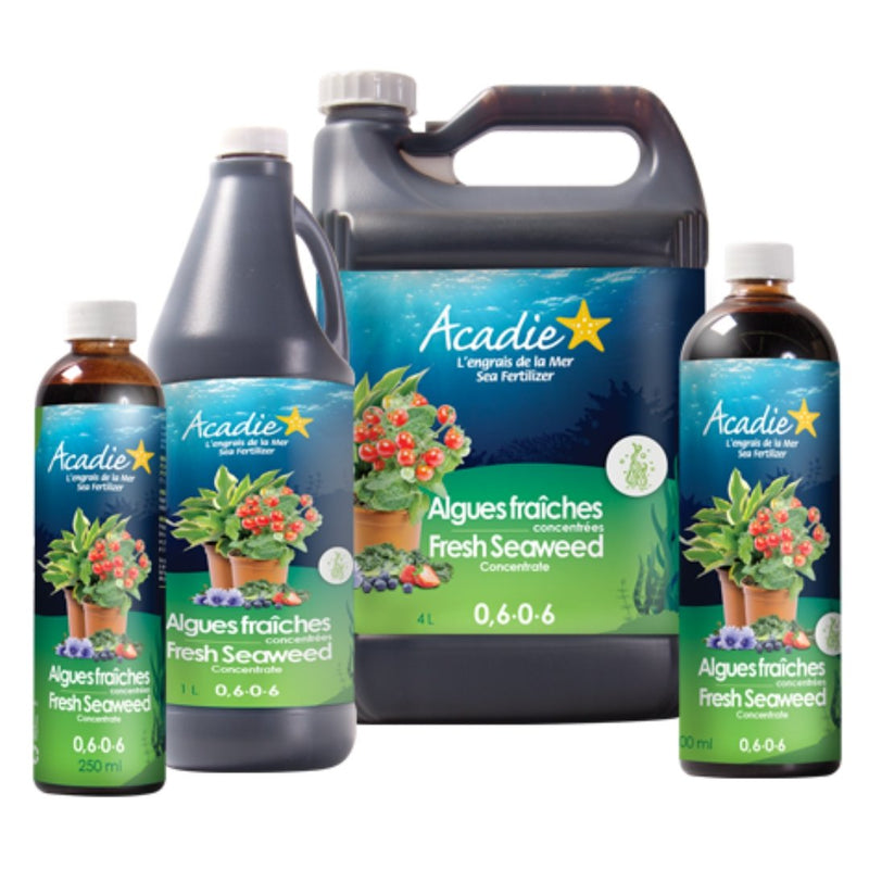 Acadie Fresh Seaweed Fertilizer Concentrate (0.6 - 0 - 6) 250 ML - Indoor Farmer