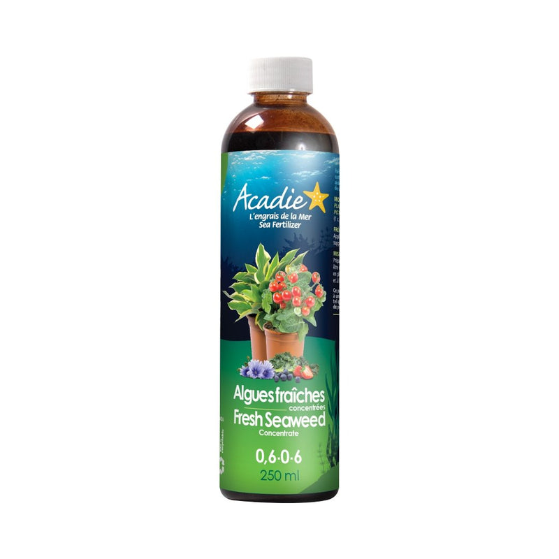 Acadie Fresh Seaweed Fertilizer Concentrate (0.6 - 0 - 6) 250 ML - Indoor Farmer