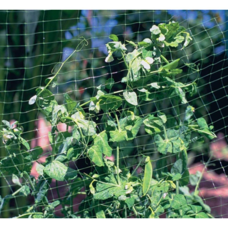 American Netting Lightweight Garden Netting 6 FT X 12 FT - Indoor Farmer