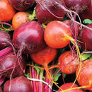Beets - Beet Blend Seeds 5g - Indoor Farmer