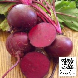 Beets - Detroit Dark Red Seeds - Indoor Farmer