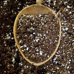 Black Swallow Seed Starter Soil Mix 18L / 4.75 GAL - Indoor Farmer