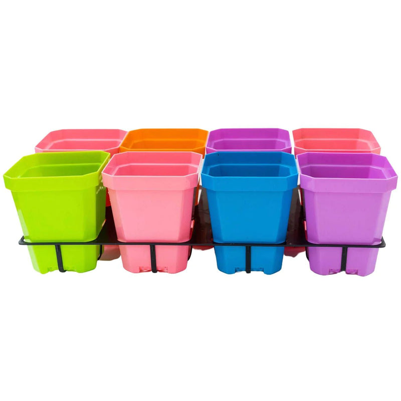 Bootstrap Farmer 5.0" Reusable Seed Starting Pots with Insert Multi - Colour - Indoor Farmer