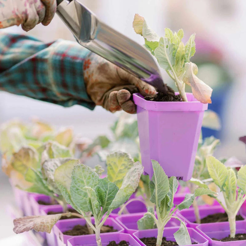 Bootstrap Farmer Heavy Duty Seed Starting Pots 3.3" - Indoor Farmer