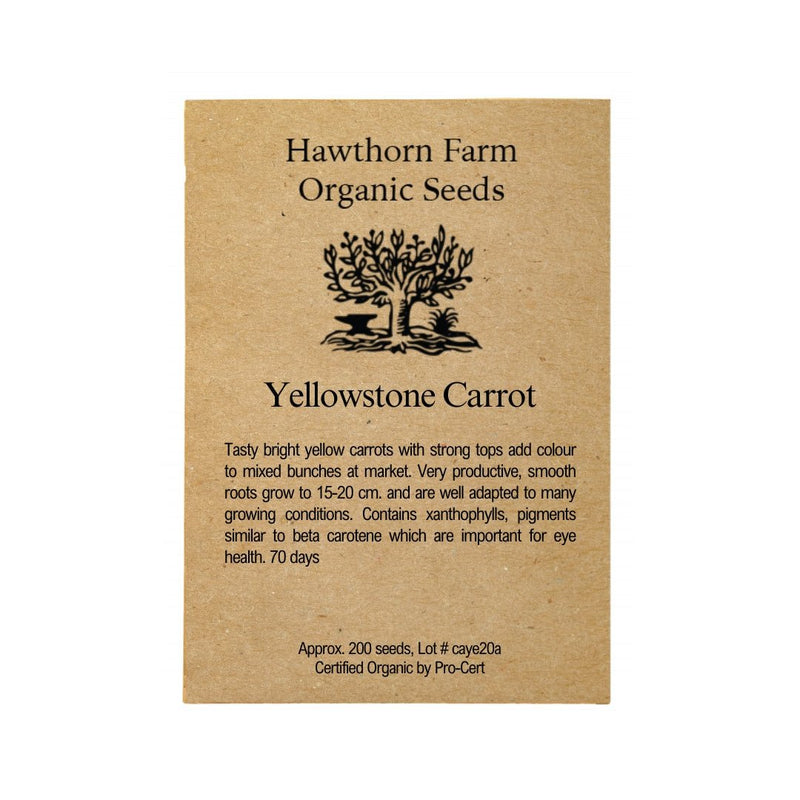 Carrots - Yellowstone Carrot Seeds 200 Seed Packet - Indoor Farmer