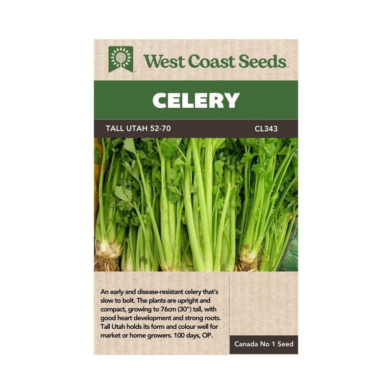 Celery - Tall Utah 52 - 70 Celery Seeds 0.25g (approx. 1081 seeds) - Indoor Farmer