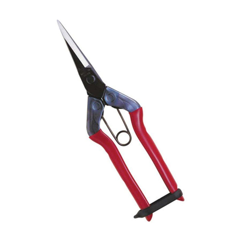 Chikamasa T - 550 Carbon Steel (Straight Blade) Pruners - Indoor Farmer