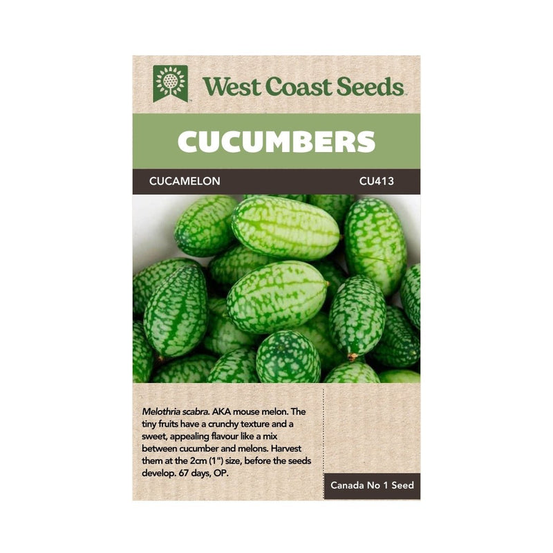 Cucumber - Cucamelon Seeds (Mexican Sour Gherkin) Approx. 30 seeds - Indoor Farmer