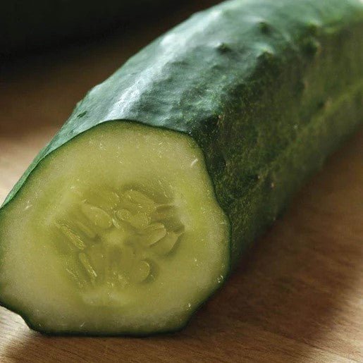 Cucumber - Patio Snacker Cucumber Seeds Approx. 10 Seeds - Indoor Farmer