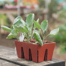 Epic Gardening 6 - Cell Seed Starting Trays Terracotta - Indoor Farmer