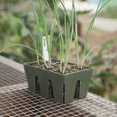 Epic Gardening 6 - Cell Seed Starting Trays Terracotta - Indoor Farmer