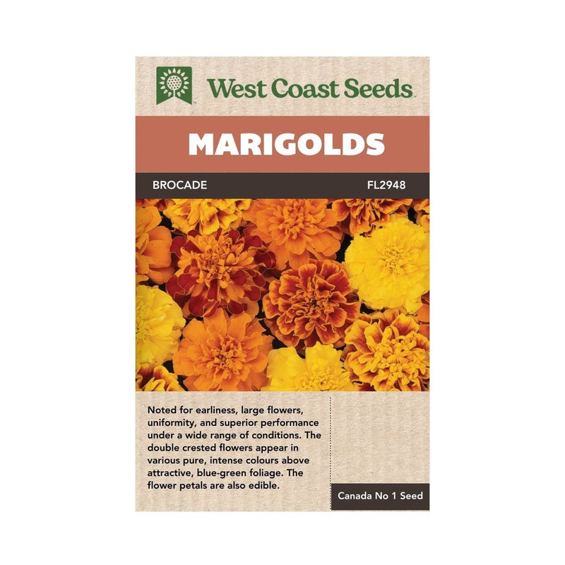 Flowers - Brocade Marigold Seeds 1g (Approx. 440 seeds) - Indoor Farmer