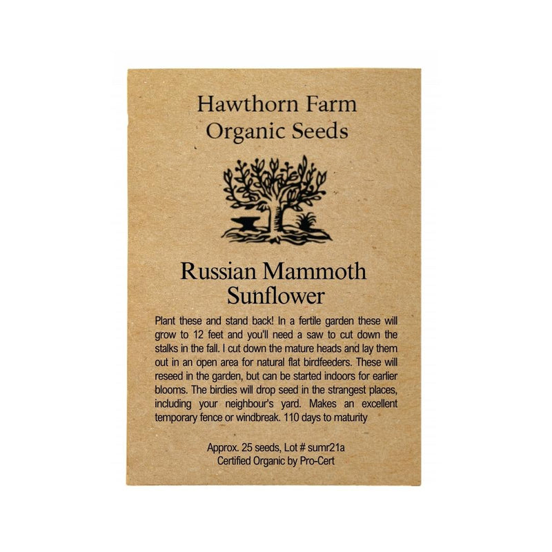 Flowers - Mammoth Russian Sunflower Seeds 25 Seed Packet - Indoor Farmer