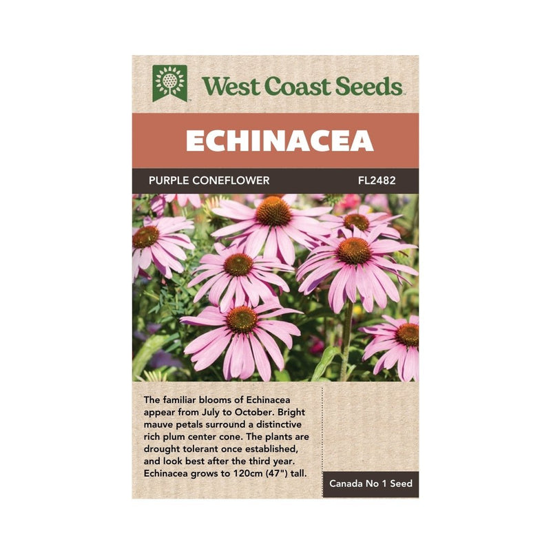 Flowers - Purple Coneflowers Echinacea Seeds 1g (Approx. 285 seeds) - Indoor Farmer