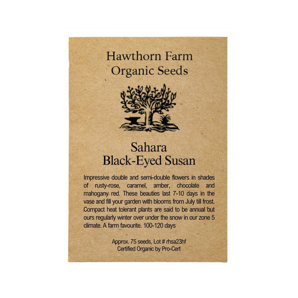 Flowers - Sahara Black - eyed Susan Seeds 75 Seed Packet - Indoor Farmer