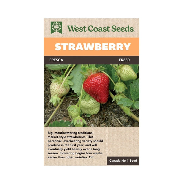 Fruit - Fresca Strawberry Seeds - Indoor Farmer