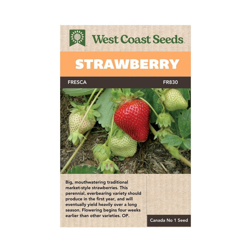 Fruit - Fresca Strawberry Seeds Approx. 40 seeds - Indoor Farmer