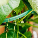 GreenStalk Plant Support - Set of 3 - Indoor Farmer