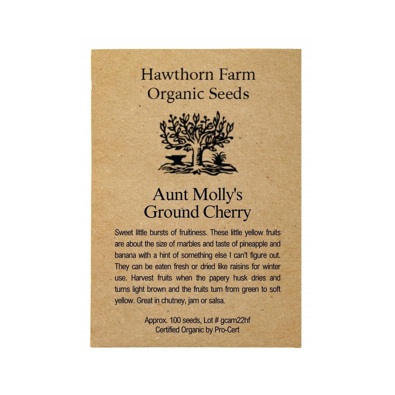 Ground Cherry - Aunt Molly's Seeds 100 Seed Packet - Indoor Farmer