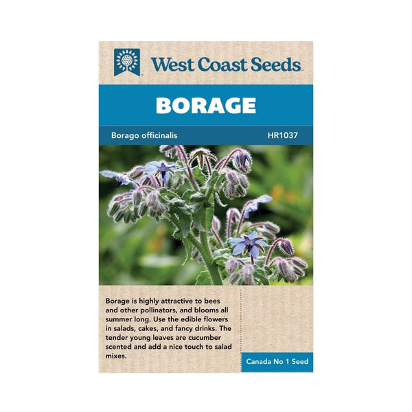 Herbs - Borage Seeds 2g (Approx. 104 seeds) - Indoor Farmer