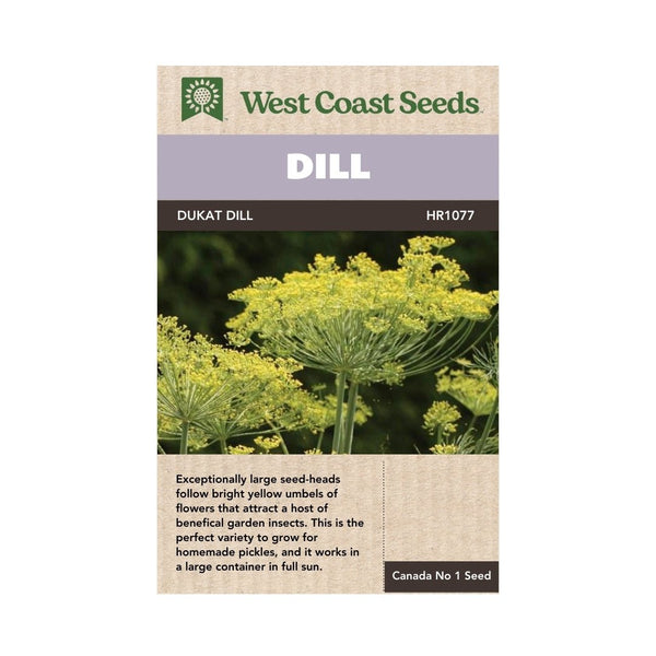 Herbs - Dukat Dill Seeds 1g (Approx. 575 seeds) - Indoor Farmer