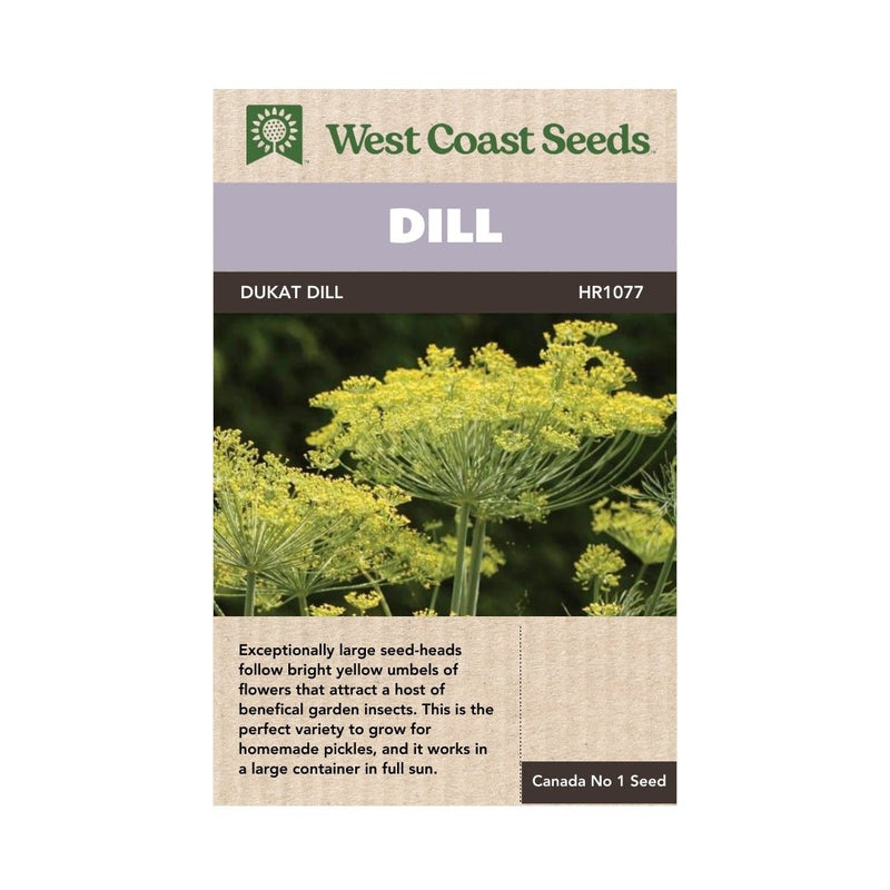 Herbs - Dukat Dill Seeds 1g (Approx. 575 seeds) - Indoor Farmer