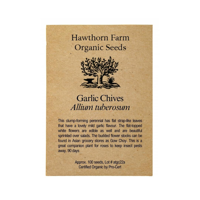 Herbs - Garlic Chives Seeds 100 Seed Packet - Indoor Farmer