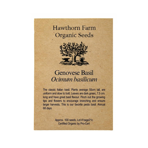 Herbs - Genovese Basil Seeds 100 Seed Packet - Indoor Farmer