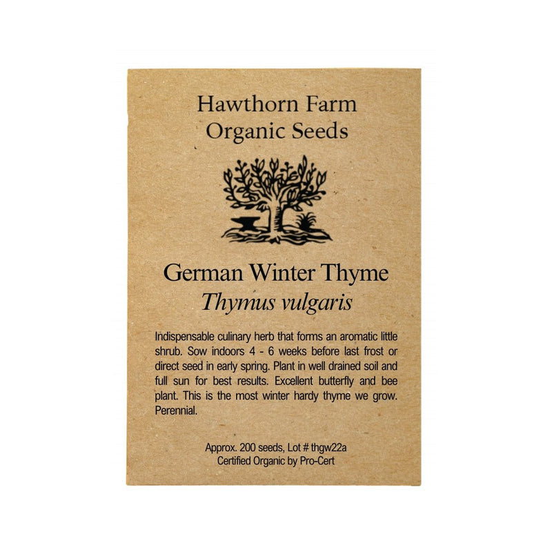 Herbs - German Winter Thyme 200 Seed Packet - Indoor Farmer