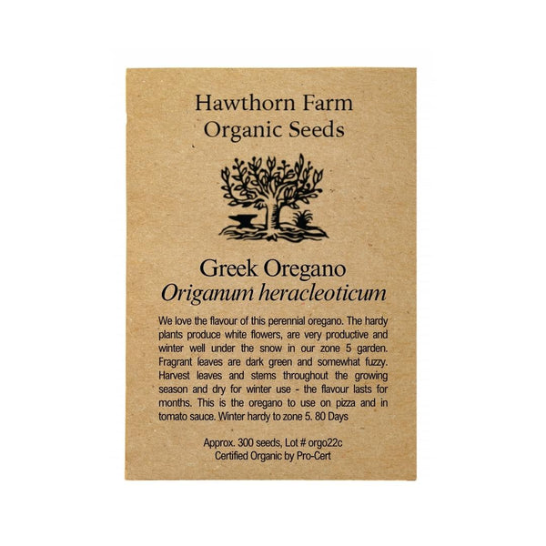 Herbs - Greek Oregano Seeds 300 Seed Packet - Indoor Farmer