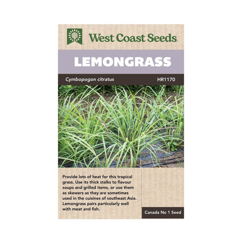 Herbs - Lemongrass Seeds 0.1g (Approx. 250 seeds) - Indoor Farmer