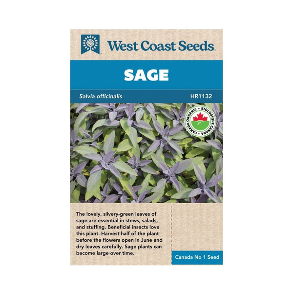 Herbs - Organic Sage Seeds 1g (Approx. 101 seeds) - Indoor Farmer