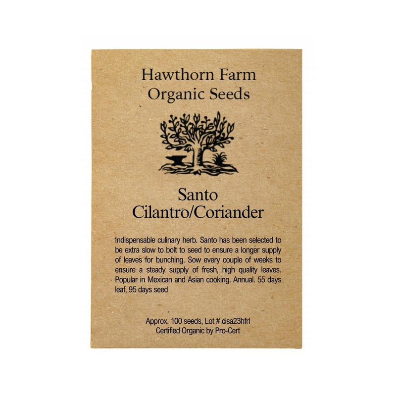 Herbs - Santo Cilantro Seeds 100 Seed Packet - Indoor Farmer