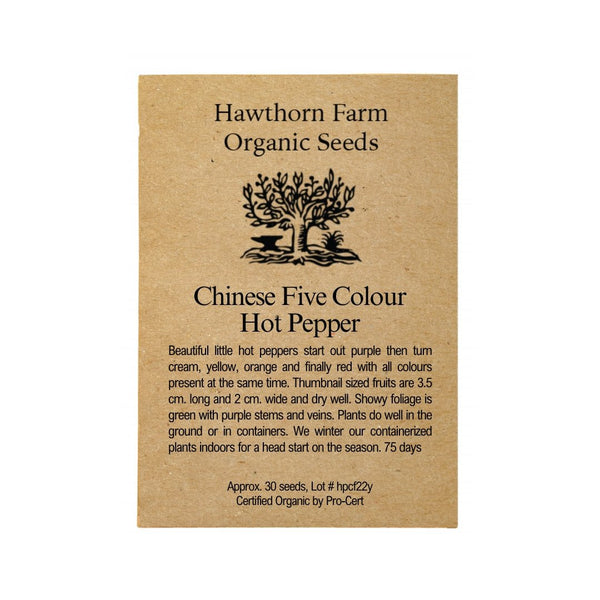 Hot Peppers - Chinese Five Colour Seeds 30 Seed Packet - Indoor Farmer