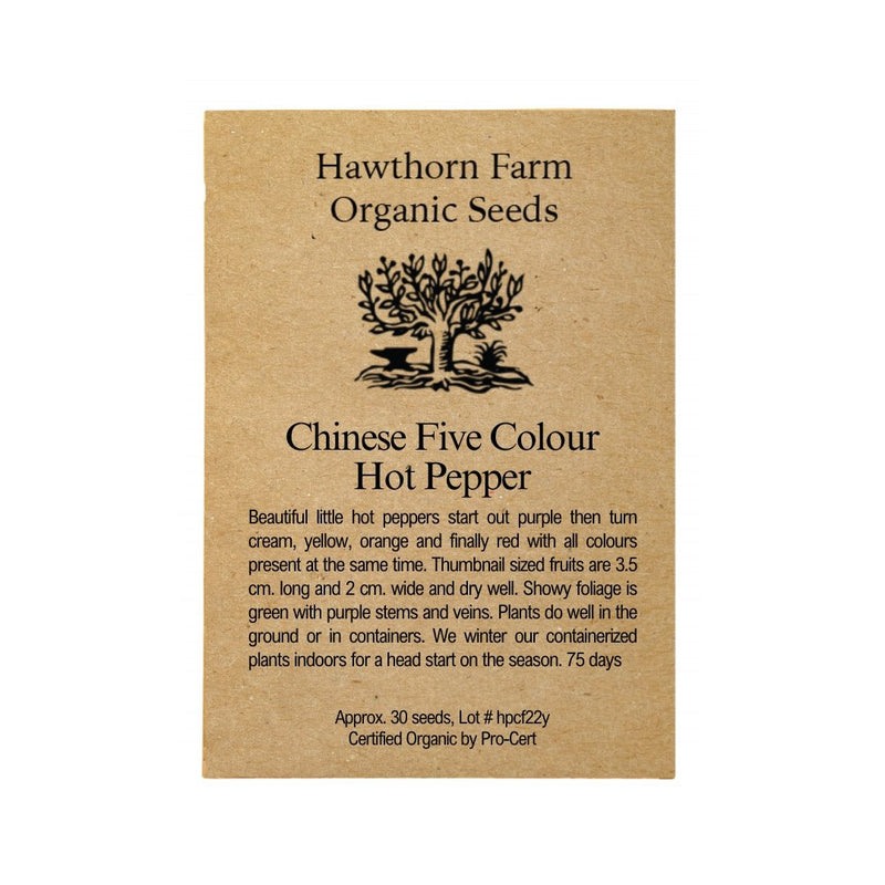 Hot Peppers - Chinese Five Colour Seeds 30 Seed Packet - Indoor Farmer