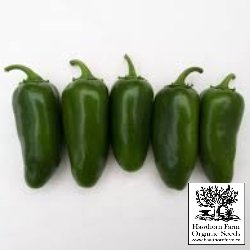 Hot Peppers - Early Jalapeno Seeds 30 Seed Packet - Indoor Farmer