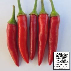 Hot Peppers - Matchbox Seeds 30 Seed Packet - Indoor Farmer