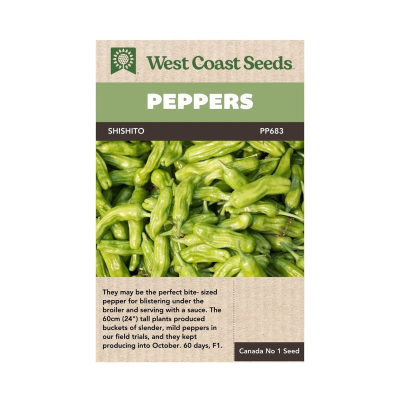 Hot Peppers - Shishito Pepper Seeds Approx. 10 seeds - Indoor Farmer