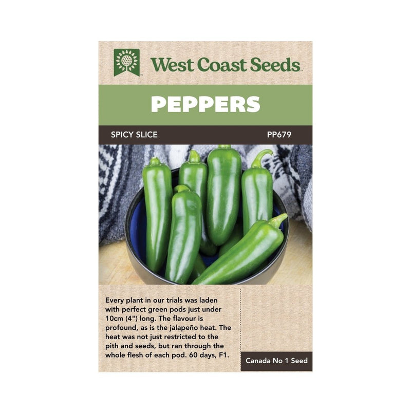 Hot Peppers - Spicy Slice Jalapeno Pepper Seeds Approx. 10 seeds - Indoor Farmer