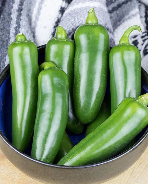 Hot Peppers - Spicy Slice Jalapeno Pepper Seeds Approx. 10 seeds - Indoor Farmer